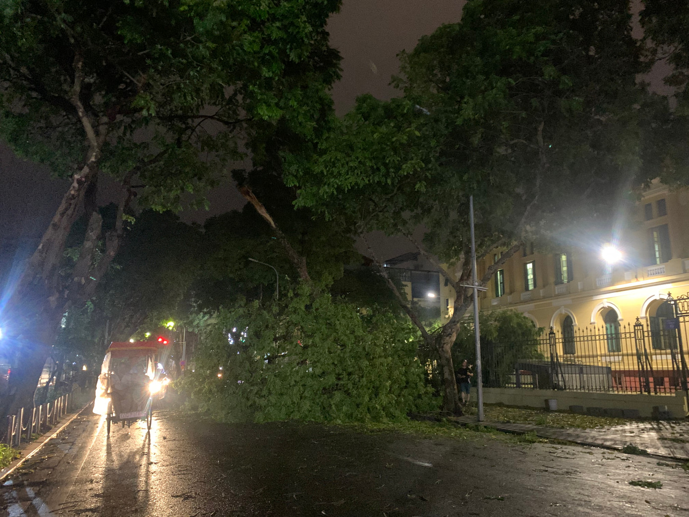 Cây đổ chắn ngang phố Quán Sứ khiến việc di chuyển trở nên khó khăn.