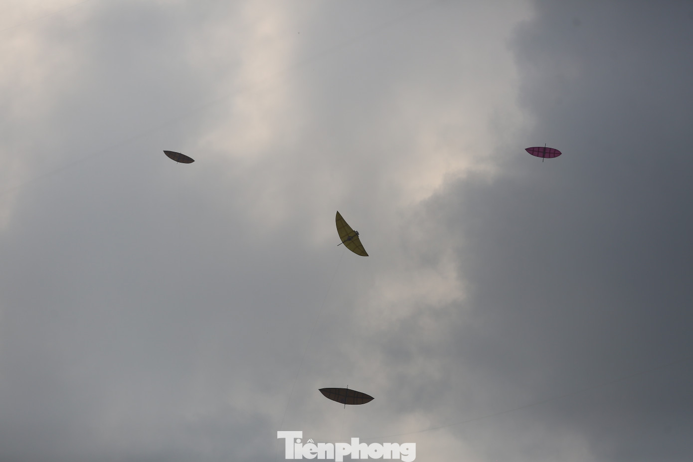 Diều được thả đạt độ cao đến 2000-3000m. Mắt thường khó có thể phân biệt, BTC phải dùng ống nhòm để quan sát, chấm thi.