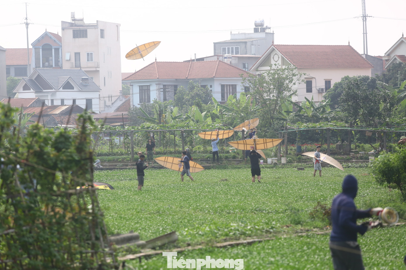 Ngay sau tín hiệu khai cuộc của Ban tổ chức, nhất loạt hàng chục chiếc diều bắt đầu “cất cánh” trong tiếng cổ vũ của khán giả.