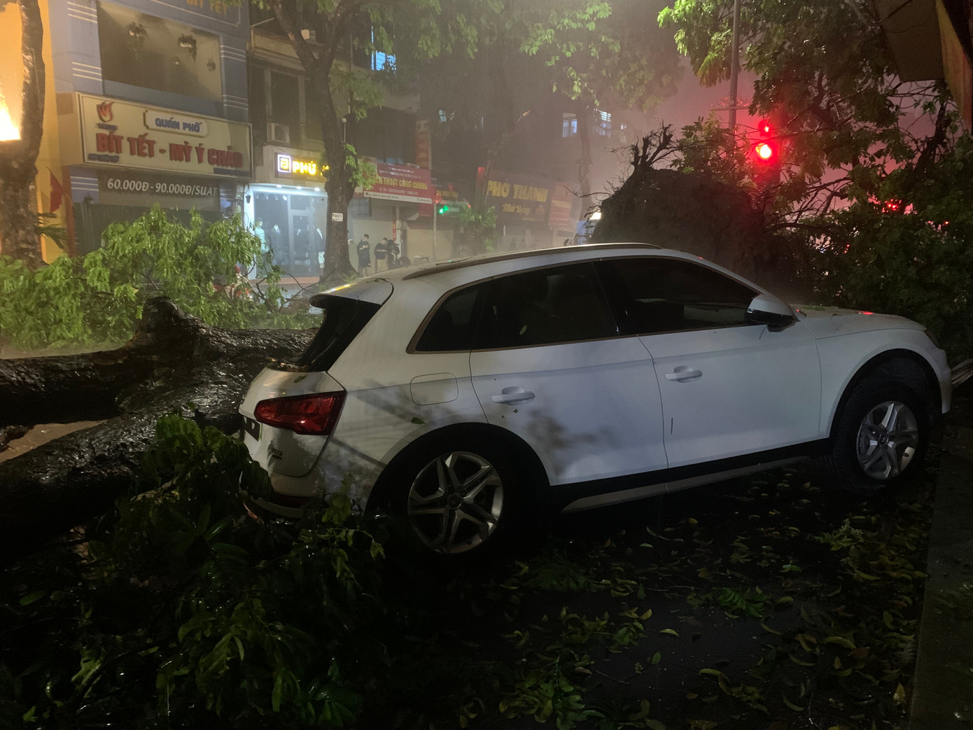 Hai chiếc ô tô bị hư hỏng phần đầu sau khi bị cây đổ trúng.