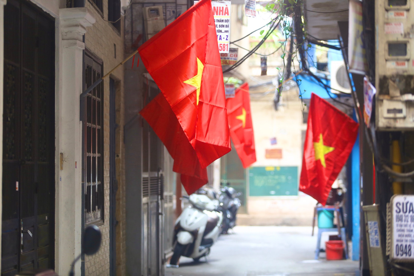 Những ngày này, trên các tuyến phố Hà Nội, các con ngõ, tổ dân phố... đâu đâu cũng rợp bóng cờ Tổ quốc để mừng ngày Giải phóng miền Nam thống nhất đất nước (30/4/1975 - 30/4/2024).