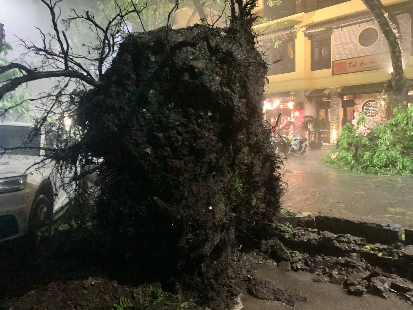 Cây cổ thụ trên phố đổ trong cơn mưa giông, bật nguyên gốc có đường kính khoảng 2,5-3m.