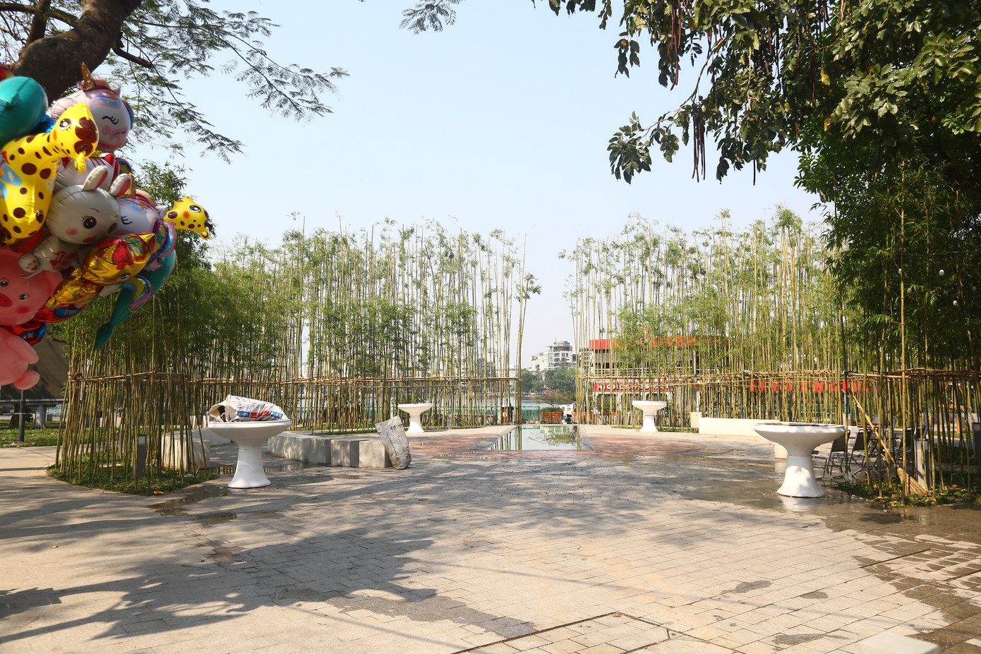 Khu vườn trúc độc đáo bên hồ Trúc Bạch (quận Ba Đình, Hà Nội) mới nổi vắng vẻ hơn ngày thường.