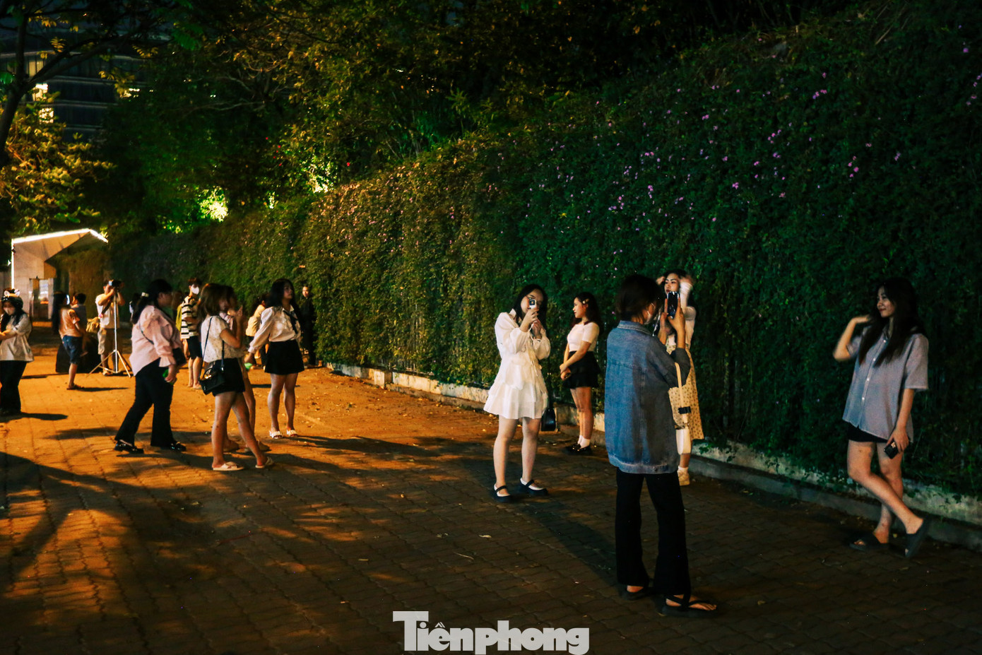 Những ngày gần đây, bức tường với giàn hoa ngũ sắc trên phố Miếu Đầm (quận Nam Từ Liêm, Hà Nội) đang trở thành điểm thu hút người dân Thủ đô đến chiêm ngưỡng, chụp ảnh, đặc biệt là lúc nửa đêm.