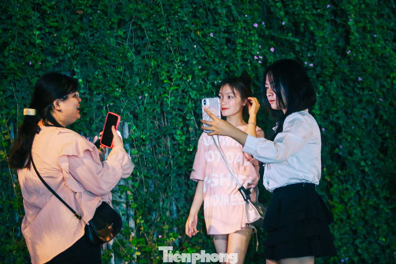 Mọi người đến đây đều cho rằng, khi chụp dưới trời tối kết hợp cùng ánh đèn flash, đằng sau là phông nền màu tím của hoa và màu xanh của lá sẽ cho ra màu sắc huyền bí, rực rỡ hơn.