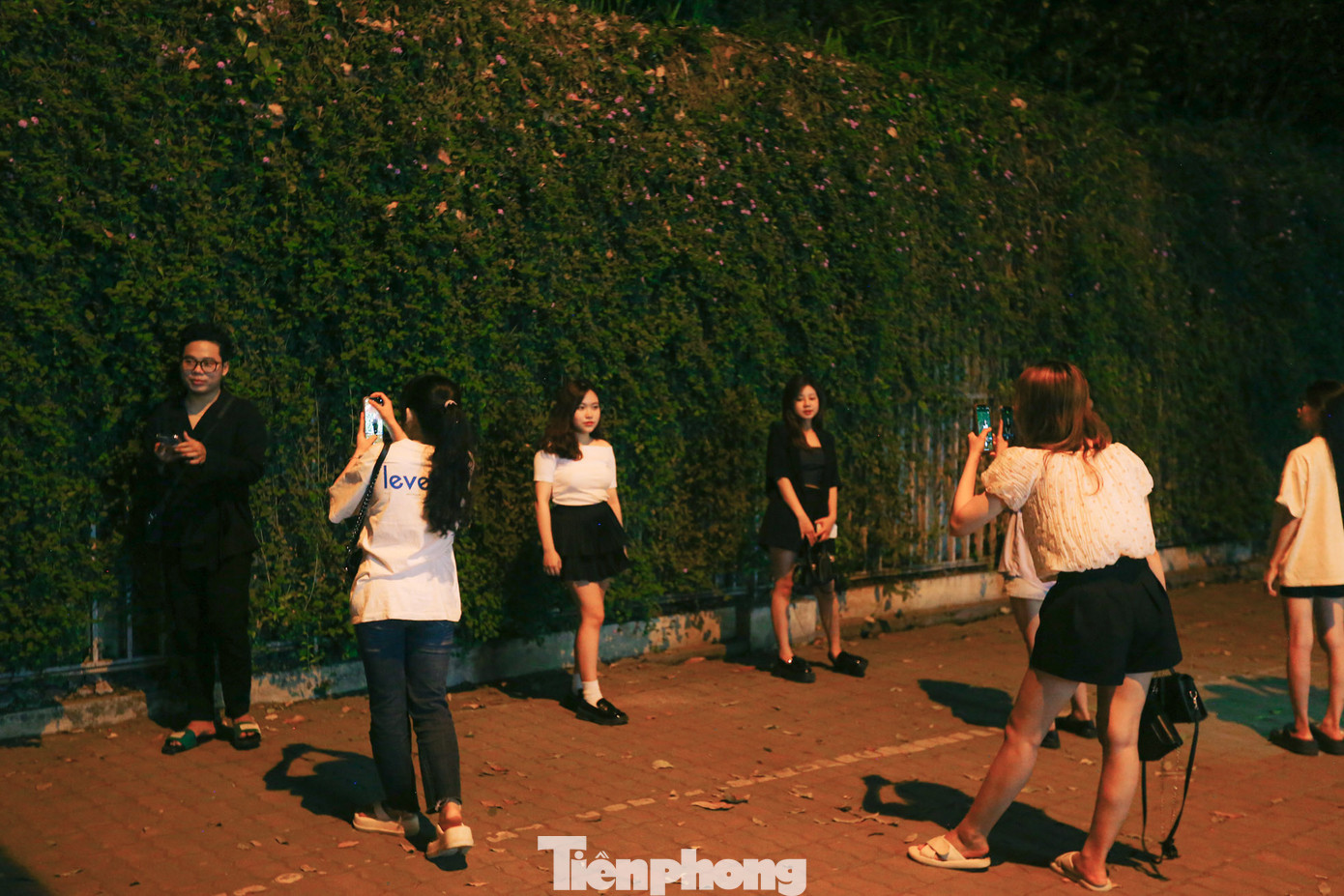 Ghi nhận của PV những ngày gần đây, khá đông người dân đã tìm đến chụp ảnh khi hoa vừa mới nở. Đặc biệt khoảng từ 20 giờ tối đến 23h30 đêm, đường hoa này vẫn chật kín người, mọi người phải xếp hàng để có một góc đẹp chụp ảnh. Nơi đây càng tấp nập, hàng đoàn xe máy để dưới lòng đường.