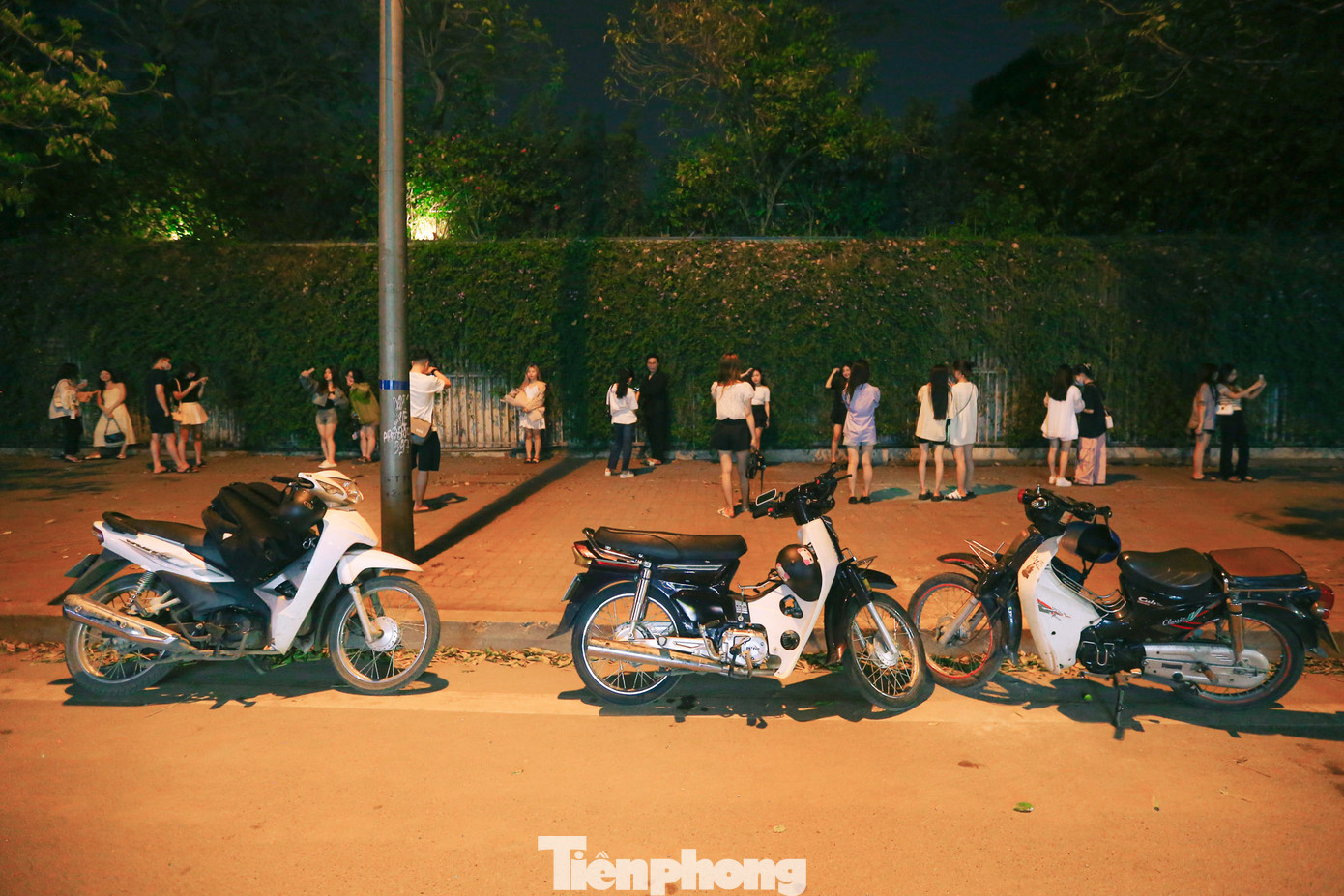 Ghi nhận của PV những ngày gần đây, khá đông người dân đã tìm đến chụp ảnh khi hoa vừa mới nở. Đặc biệt khoảng từ 20 giờ tối đến 23h30 đêm, đường hoa này vẫn chật kín người, mọi người phải xếp hàng để có một góc đẹp chụp ảnh. Nơi đây càng tấp nập, hàng đoàn xe máy để dưới lòng đường.