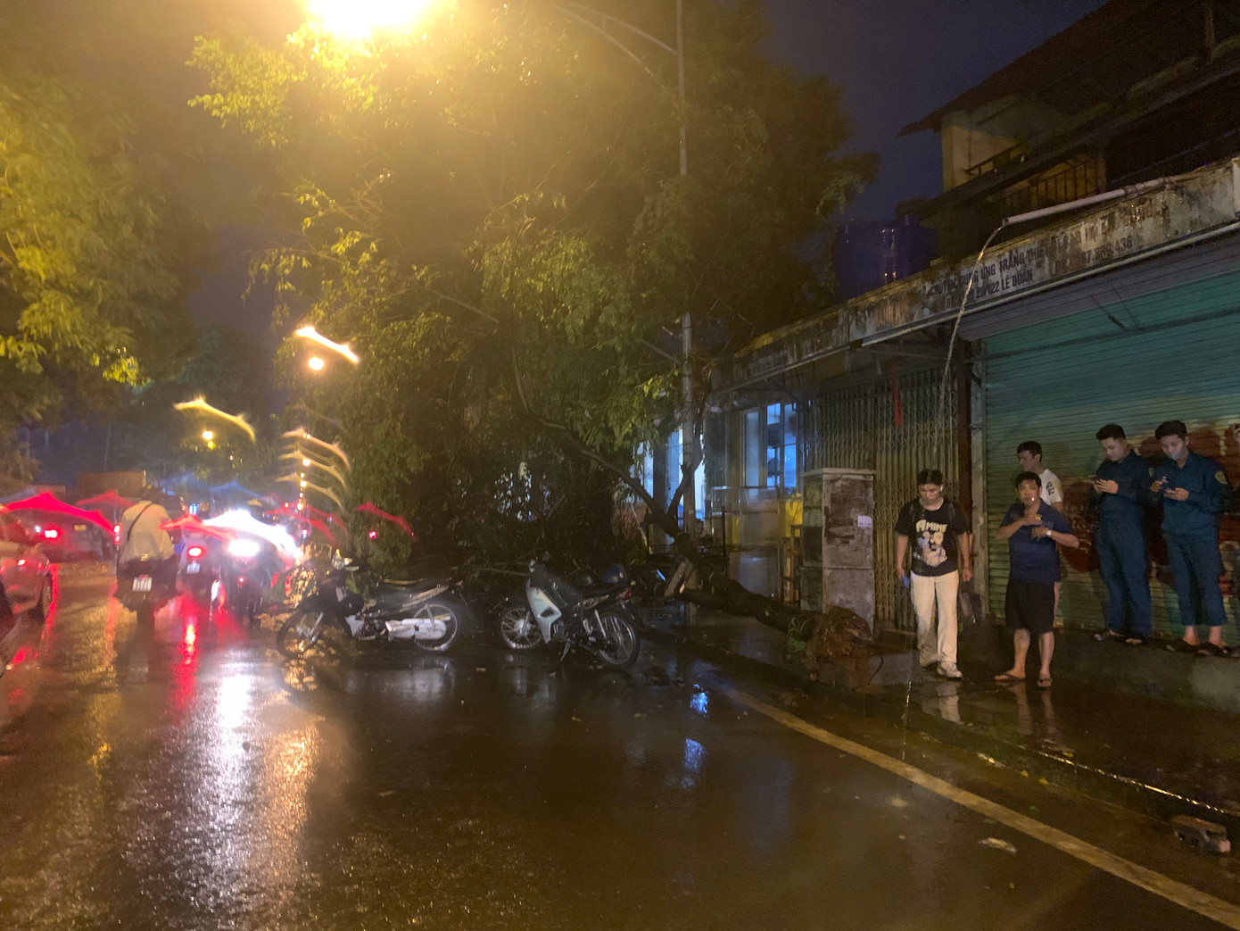 Cây xanh bật gốc chắn nửa đường Lê Duẩn.