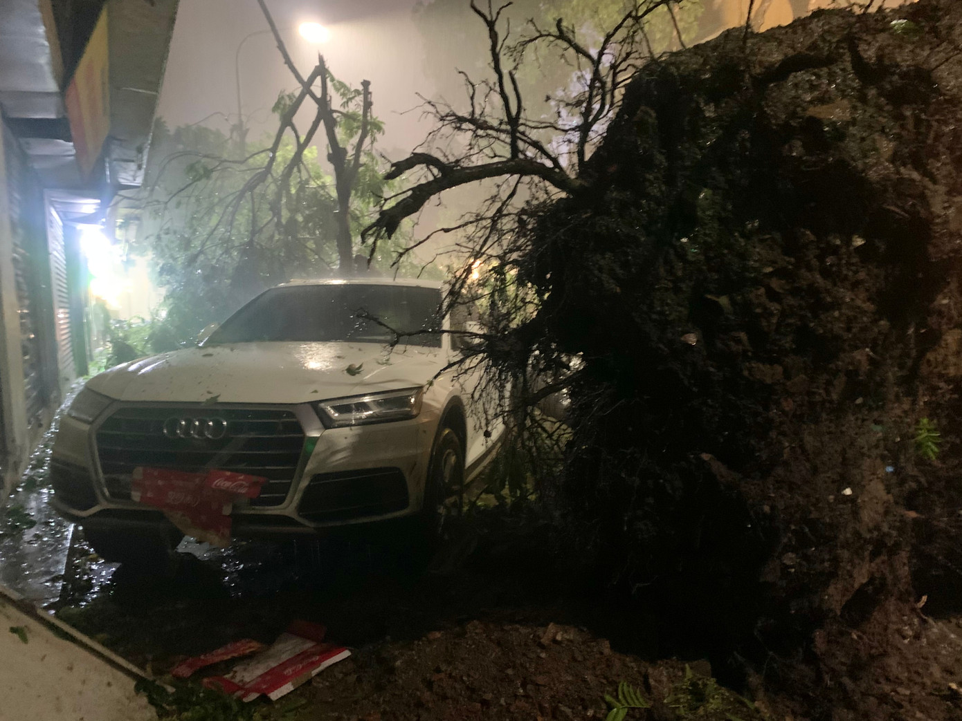 Hai chiếc ô tô bị hư hỏng phần đầu sau khi bị cây đổ trúng.