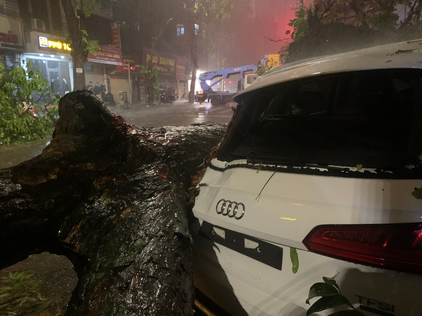 Hai chiếc ô tô bị hư hỏng phần đầu sau khi bị cây đổ trúng.