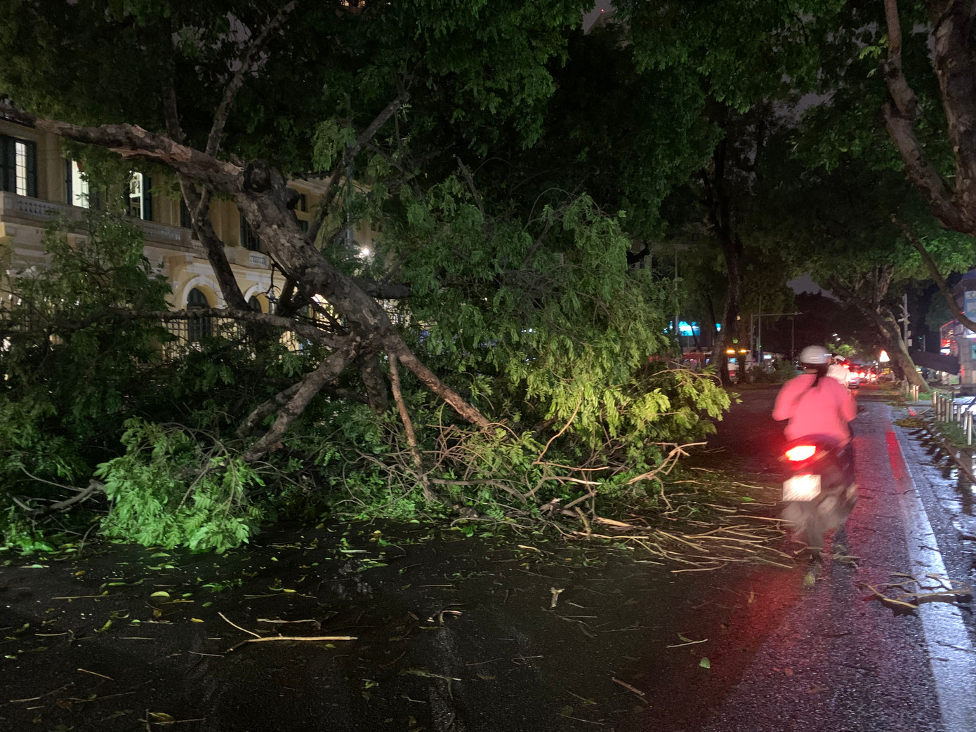Cây đổ chắn ngang phố Quán Sứ khiến việc di chuyển trở nên khó khăn.