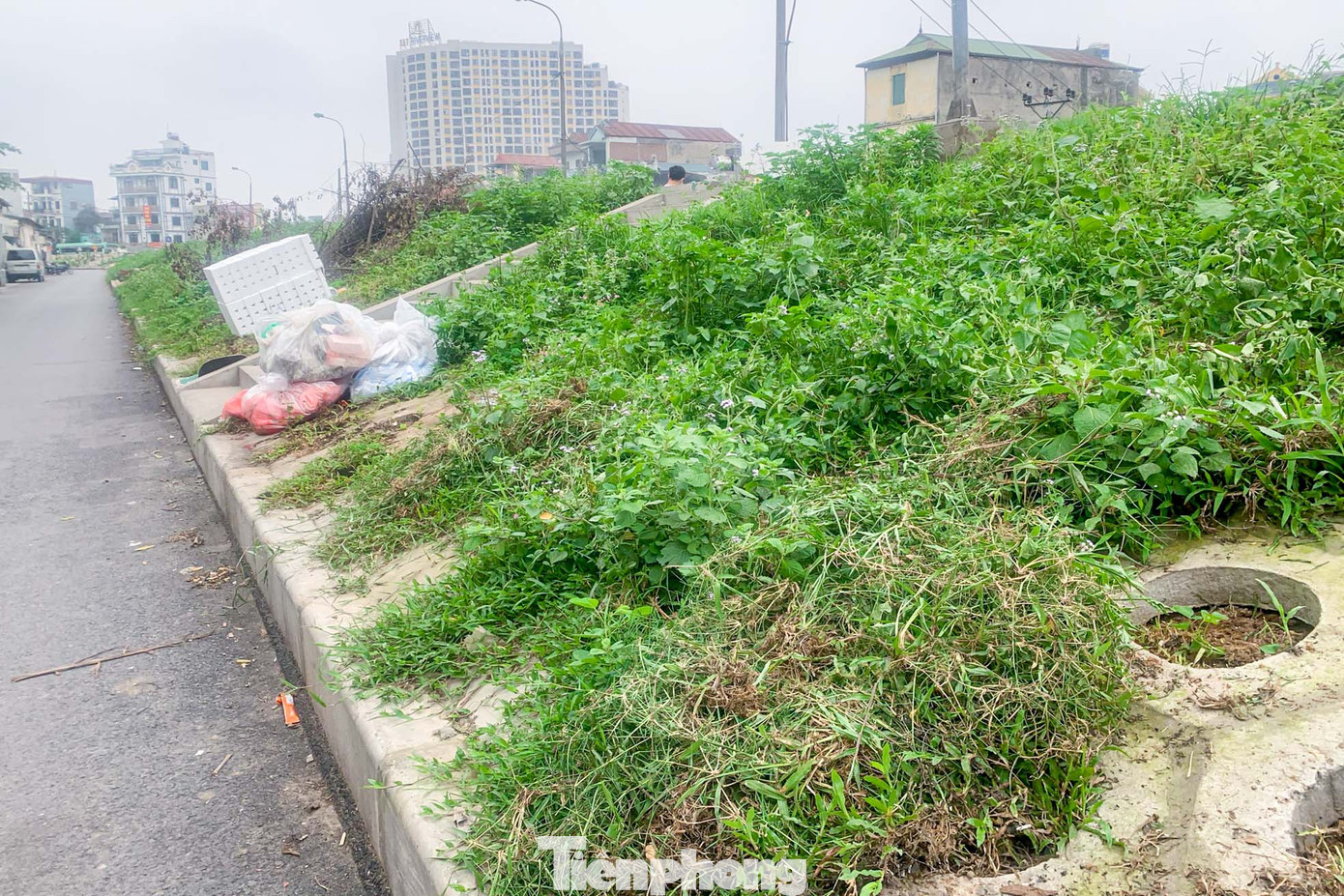 Cùng trên triền đê, một số đoạn để cỏ dại mọc um tùm gây mất mỹ quan đô thị.