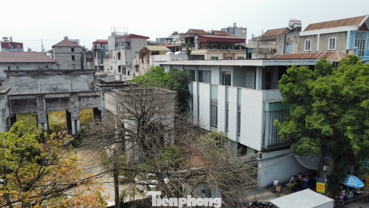 Một số công trình không phép hiện đang được dùng làm văn phòng công ty.