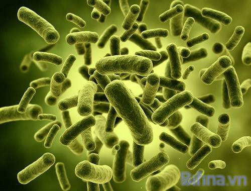 3 sai lầm khiến bệnh hội chứng ruột kích thích khó thoát khỏi ảnh 1