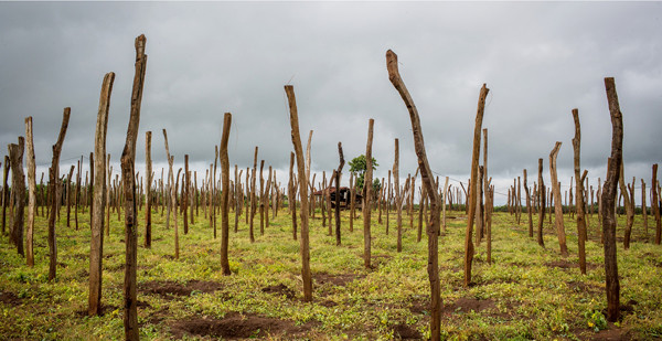 Mảnh ghép xã hội nhìn từ con đường đến trường ảnh 7
