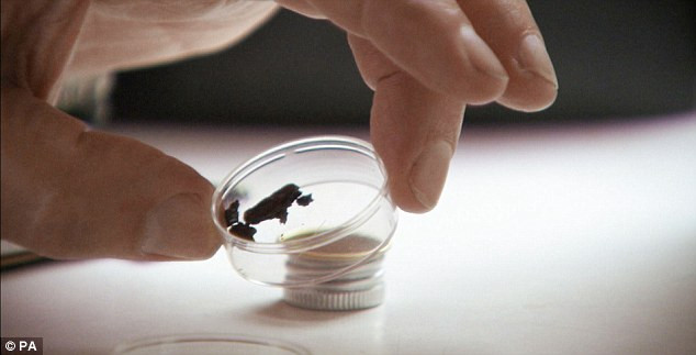 Các nhà khoa học lấy mẩu thịt khô từ thi thể của vị pharaoh Tutankhamun để tìm hiểu