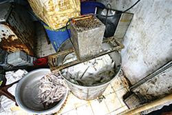 Dùng máy quay li tâm và hóa chất để tẩy trắng mực. Ảnh : Thanh Niên