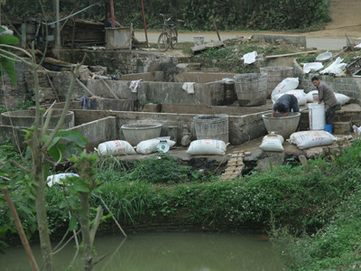 Nước để lọc bột dong được lấy lên từ chiếc ao tù ngay cạnh mặt đường