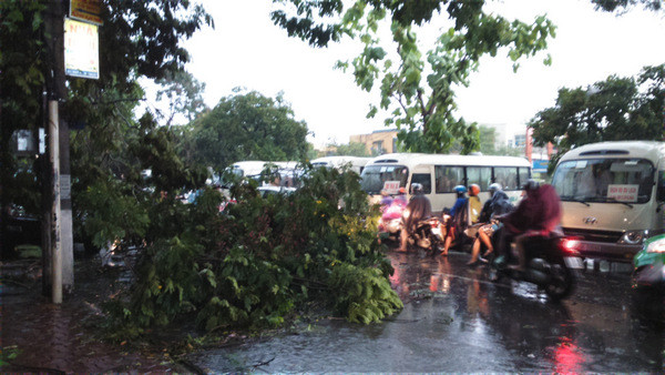 Hà Nội mưa lốc kinh hoàng, giao thông tê liệt ảnh 37
