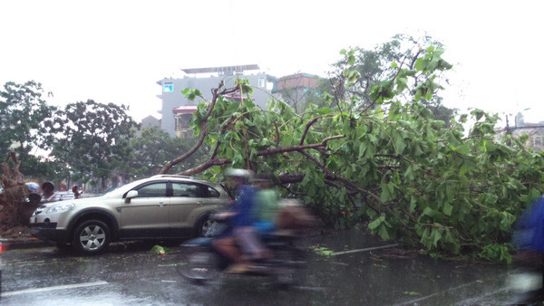 Hà Nội mưa lốc kinh hoàng, giao thông tê liệt ảnh 34