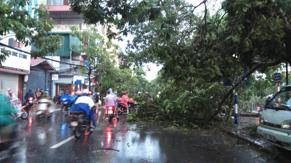 Hà Nội mưa lốc kinh hoàng, giao thông tê liệt ảnh 39