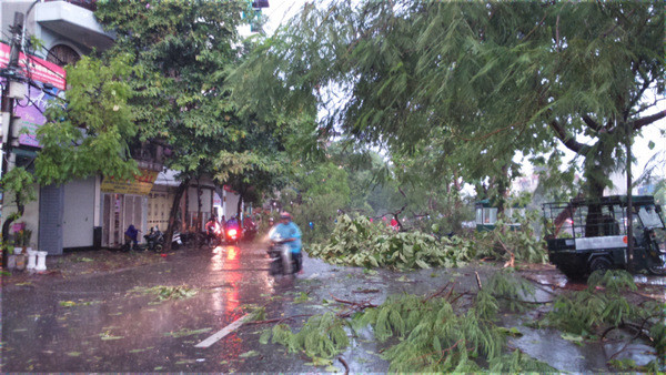 Hà Nội mưa lốc kinh hoàng, giao thông tê liệt ảnh 36