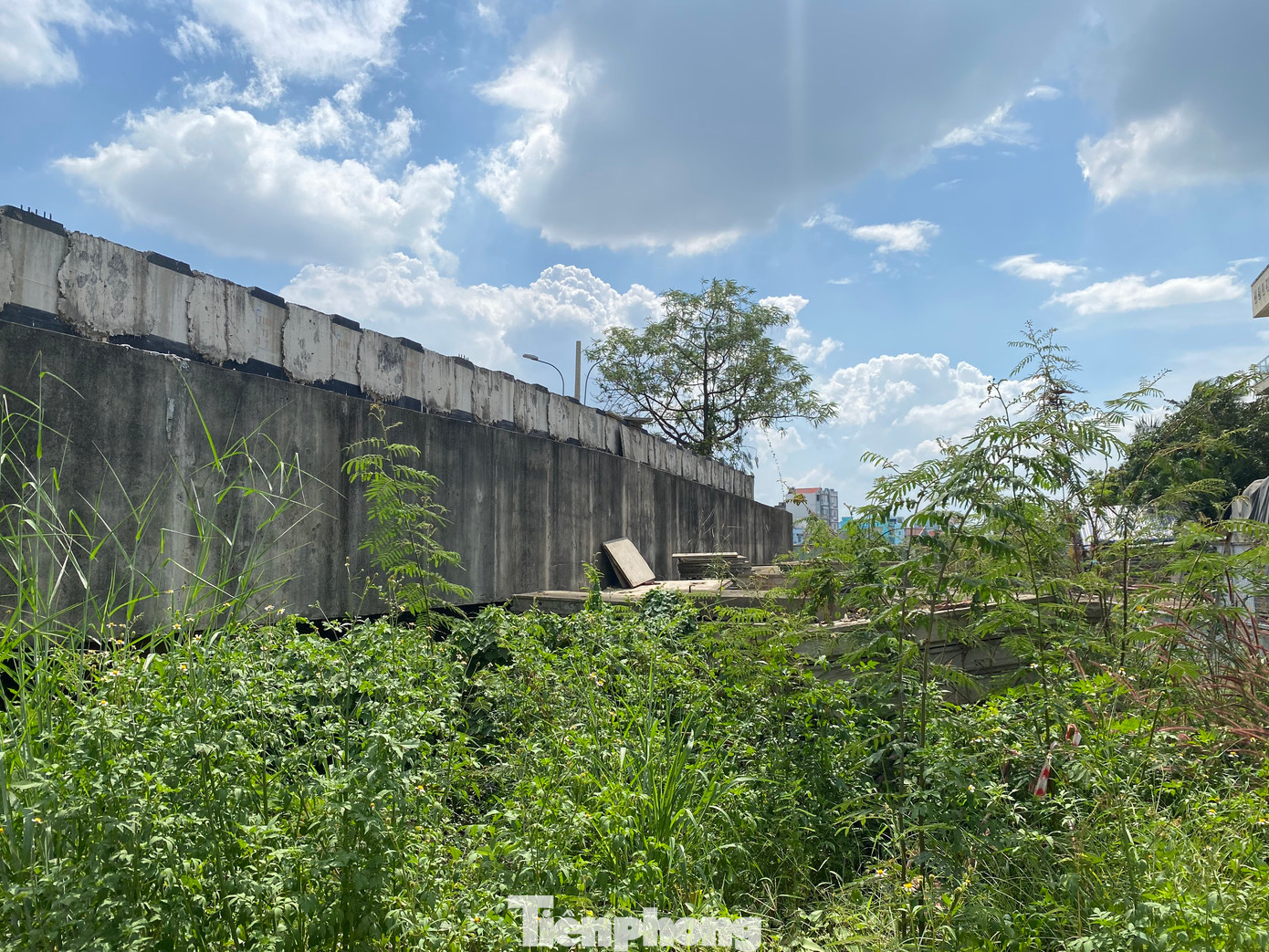 Trên công trường cây cỏ mọc um tùm, ngổn ngang bê tông, sắt thép, vật liệu xây dựng bị gỉ sét.