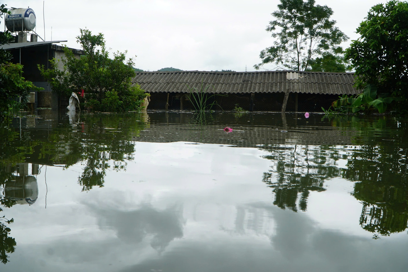 Ngập lụt tại thị trấn Kim Tân, huyện Thạch Thành