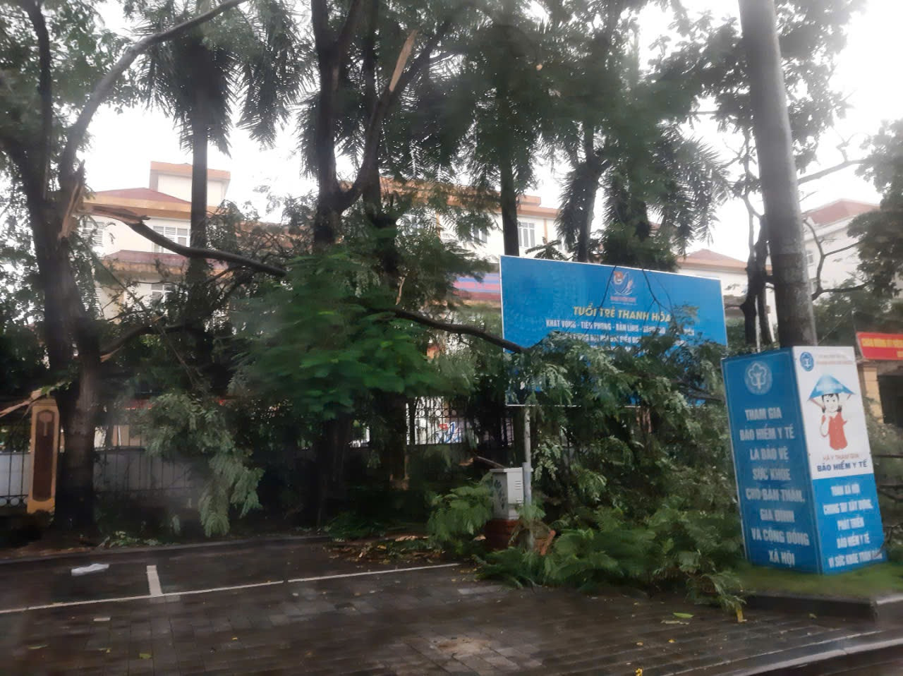 Gió mạnh khiến cành cây gãy, đổ trên đại lộ Lê Lợi, phường Phú Sơn, TP Thanh Hoá