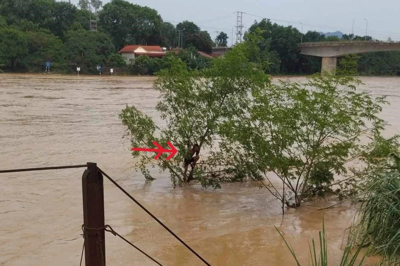 Thời điểm người đàn ông bám vào cây sau khi bị cuốn trôi trên sông Mã