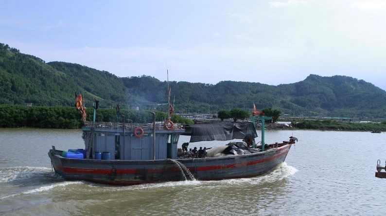 Tàu thuyền của ngư dân huyện Hoằng Hoá đi sâu vào sông Lạch Trường để tránh trú Tàu thuyền của ngư dân huyện Hoằng Hoá đi sâu vào sông Lạch Trường để tránh trú