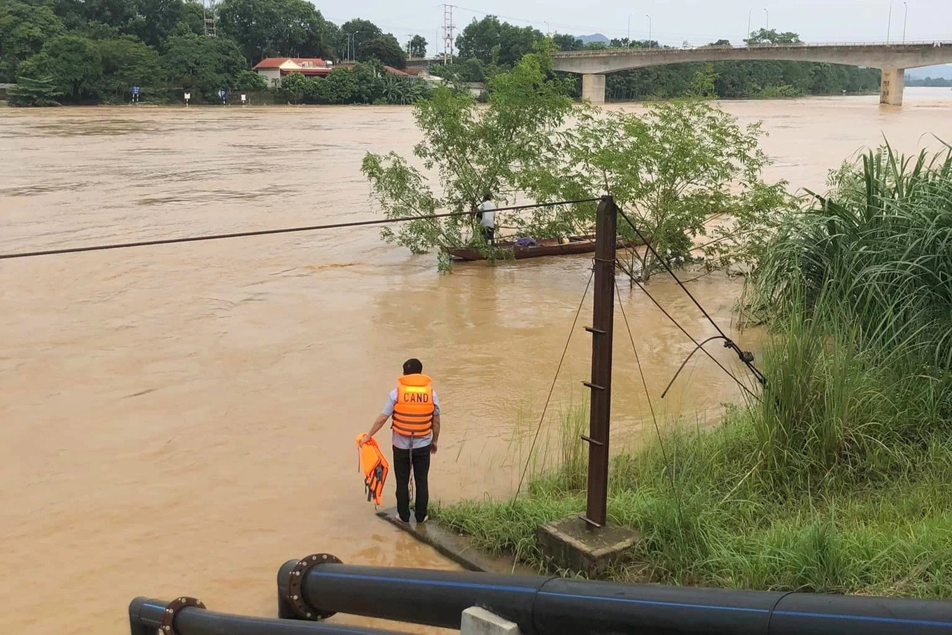 Lực lượng chức năng đưa người đàn ông trên cành cây vào bờ