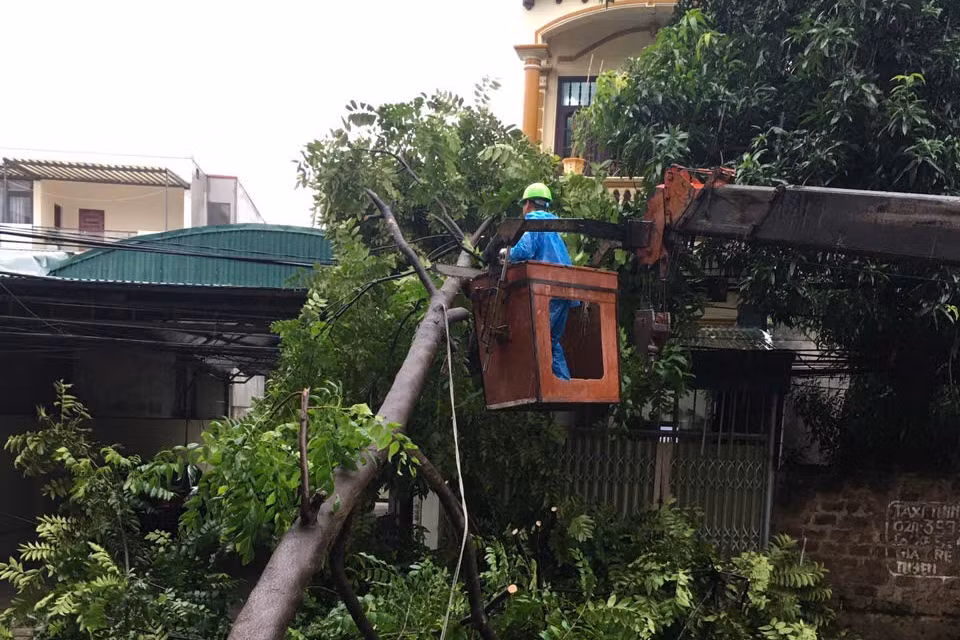 Công nhân Công ty CP Môi trường và Dịch vụ đô thị Việt Trì huy động lực lượng, phương tiện xử lý cây đổ chắn ngang đường Đông Sơn, phường Vân Cơ.