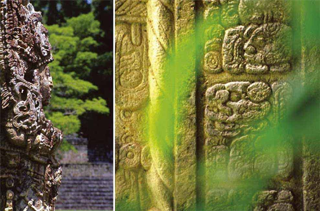 Trong đống đổ nát của phế tích Copan, nằm ở phía Tây Honduras, bạn sẽ tìm thấy chữ tượng hình, tấm bia và những tấm điêu khắcdập nổiđược thực hiện rất tinh tế và kể về những câu chuyện của người Maya