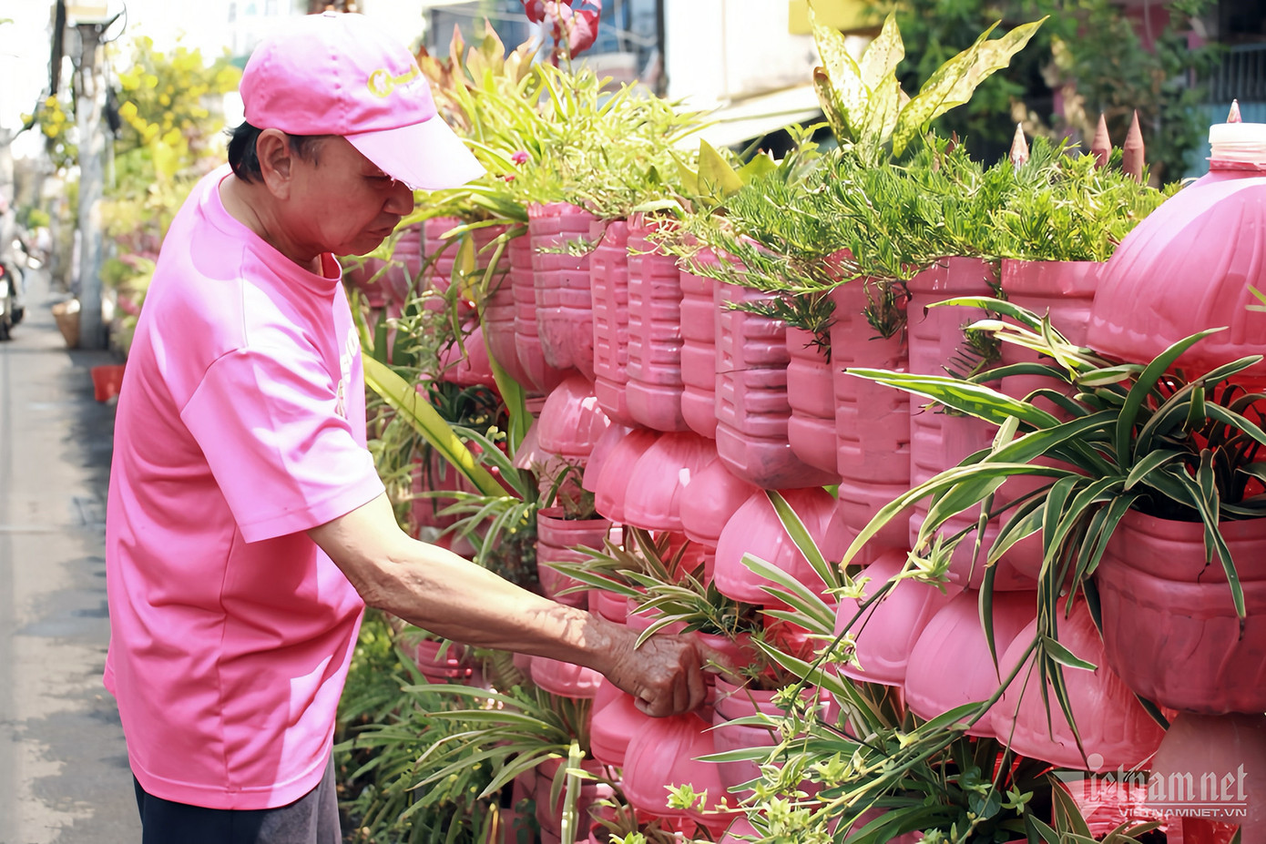 Ông dự định sẽ cải tạo các chậu cây đã trồng và phủ hồng thêm một đoạn dài hàng rào bằng những chậu cây tương tự