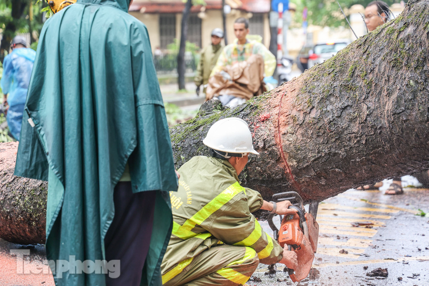 Lực lượng chức năng tiến hành cưa, cắt nhỏ cây bị đổ.