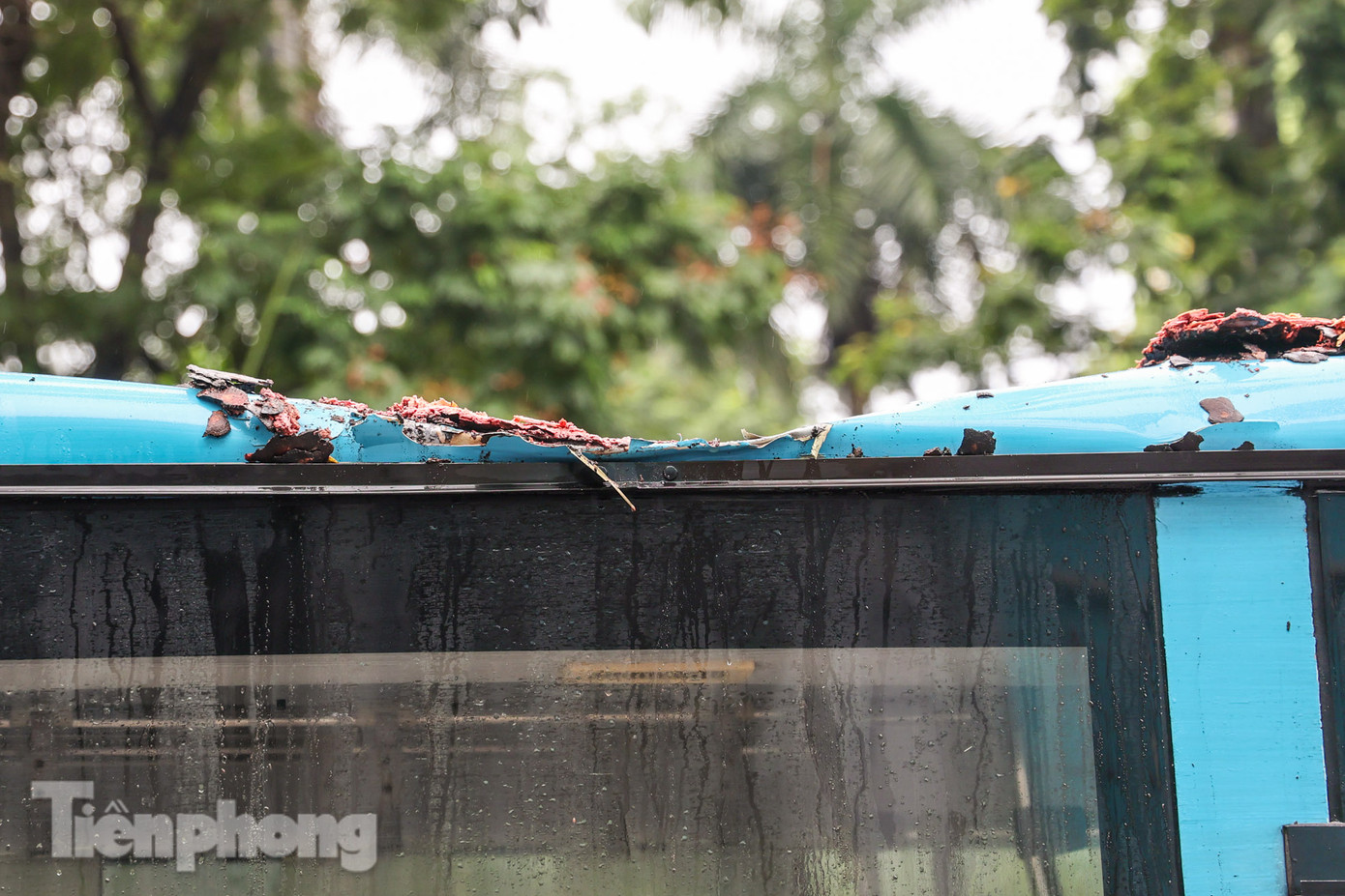 Phần trần xe hư hỏng nặng sau khi bị cây đè.