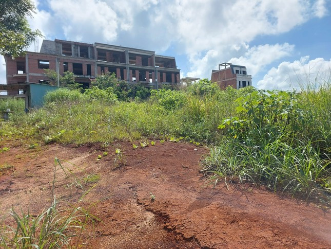 Dự án 700 tỷ đồng của FLC ở Gia Lai mọc đầy cỏ dại.