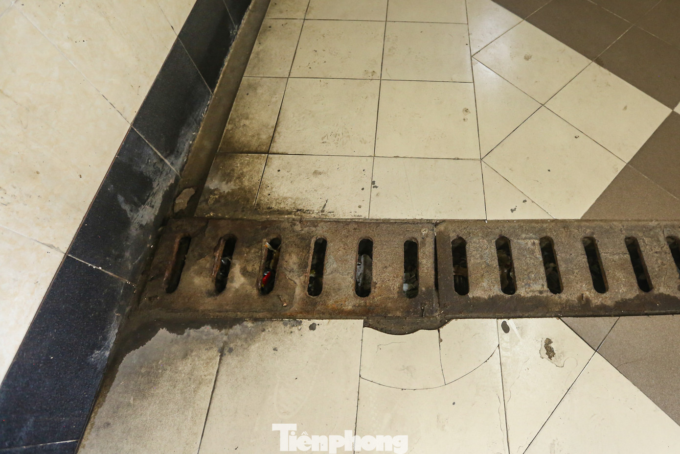 Hệ thống cống rãnh dưới hầm không được vệ sinh, dọn dẹp.