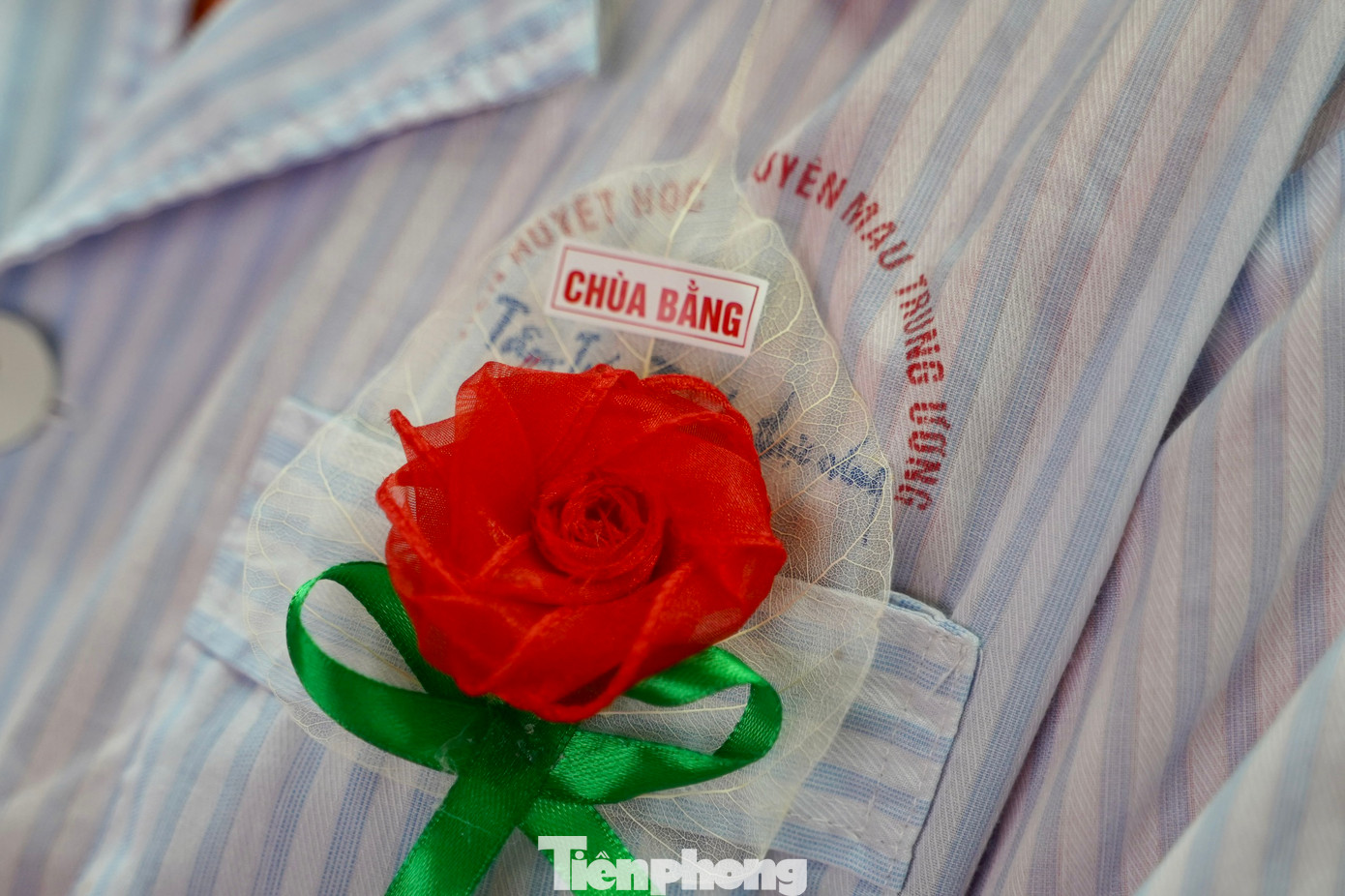 Đóa hồng nơi ngực áo trong ngày lễ Vu Lan biểu trưng cho sự hiện diện của cha mẹ trong trái tim mỗi người con.