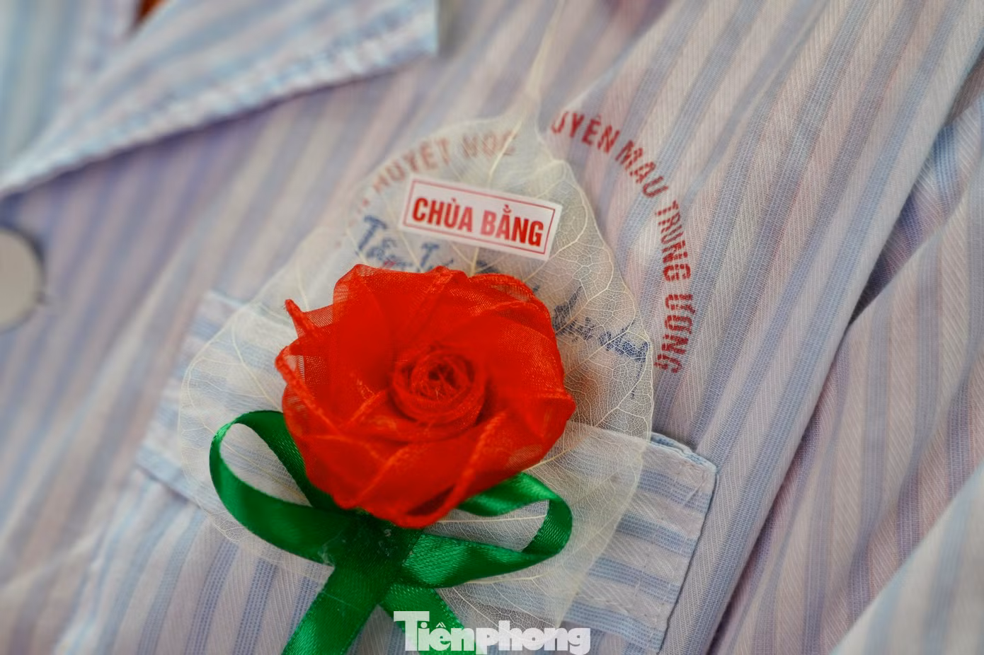 Đóa hồng nơi ngực áo trong ngày lễ Vu Lan biểu trưng cho sự hiện diện của cha mẹ trong trái tim mỗi người con.