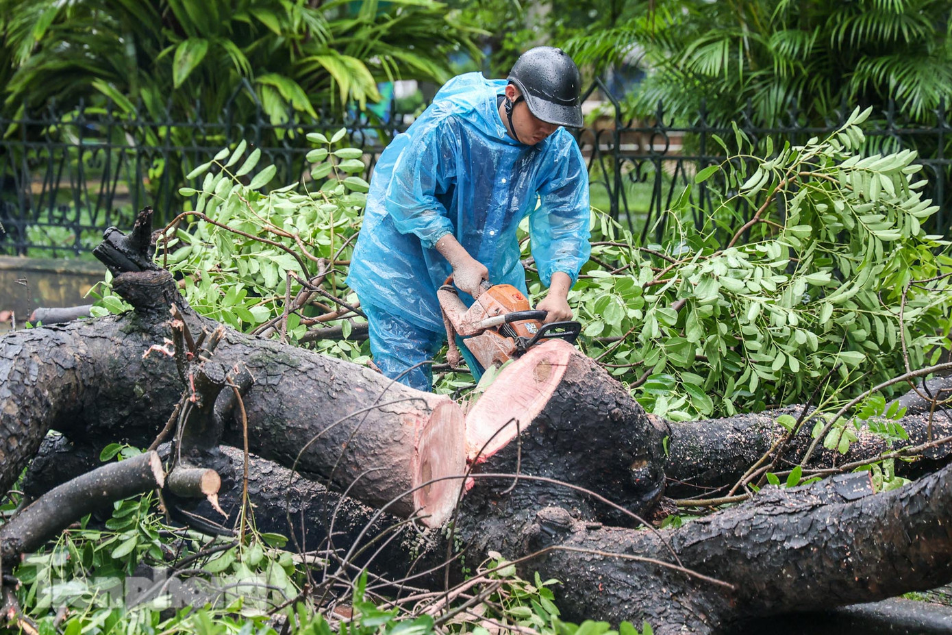 Sau khi nhận được tin báo, lực lượng chức năng đã có mặt và xử lý hiện trường.