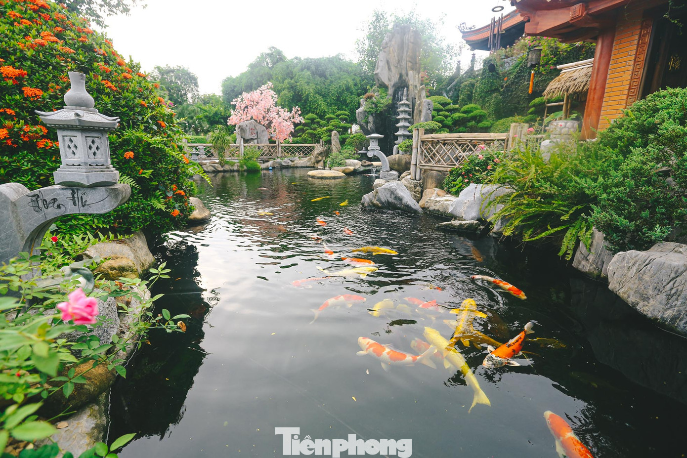 Khuôn viên sân vườn chùa Phật Quang được thiết kế tỉ mỉ, có hồ cá rộng