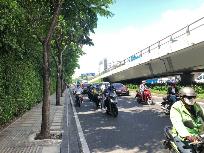 Khoảng 30 cây giáng hương đã được giải cứu sau phản ánh của Báo Người Lao Động Khoảng 30 cây giáng hương đã được giải cứu sau phản ánh của Báo Người Lao Động