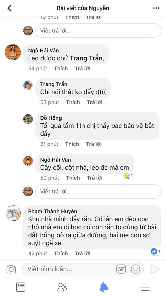 Bắt được rắn hổ mang 'khủng' ở sân chơi chung cư Hà Nội ảnh 7