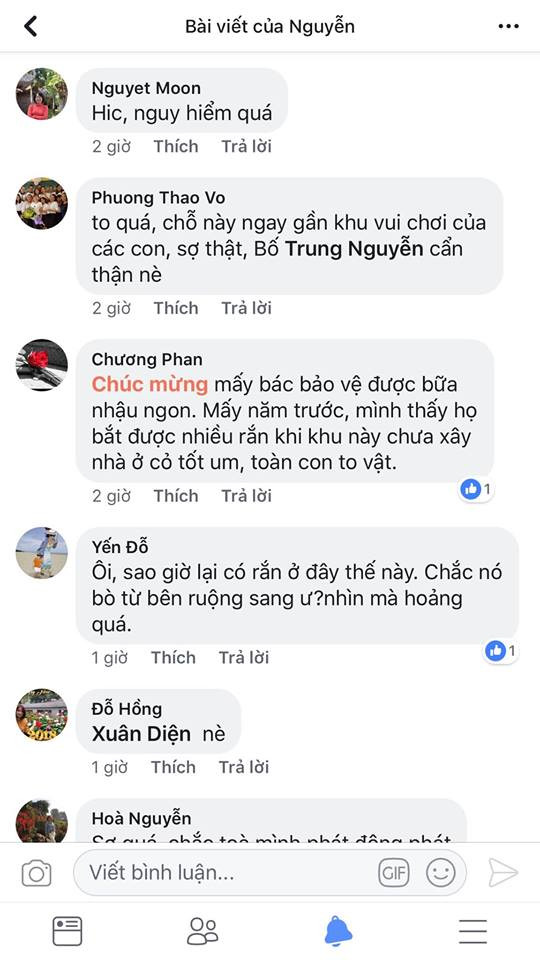 Bắt được rắn hổ mang 'khủng' ở sân chơi chung cư Hà Nội ảnh 3