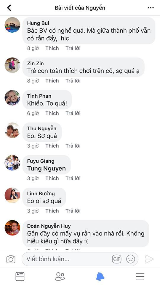 Bắt được rắn hổ mang 'khủng' ở sân chơi chung cư Hà Nội ảnh 4