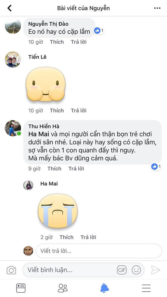 Bắt được rắn hổ mang 'khủng' ở sân chơi chung cư Hà Nội ảnh 6