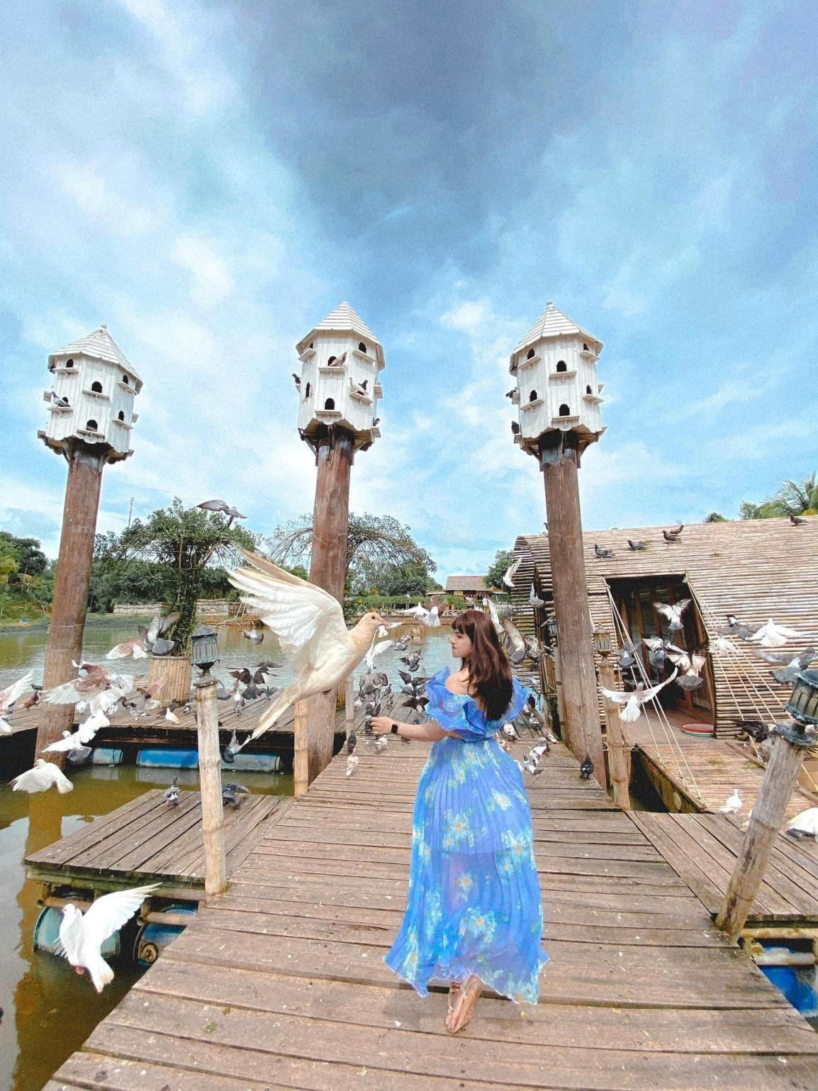 Du khách tại vườn bồ câu thơ mộng