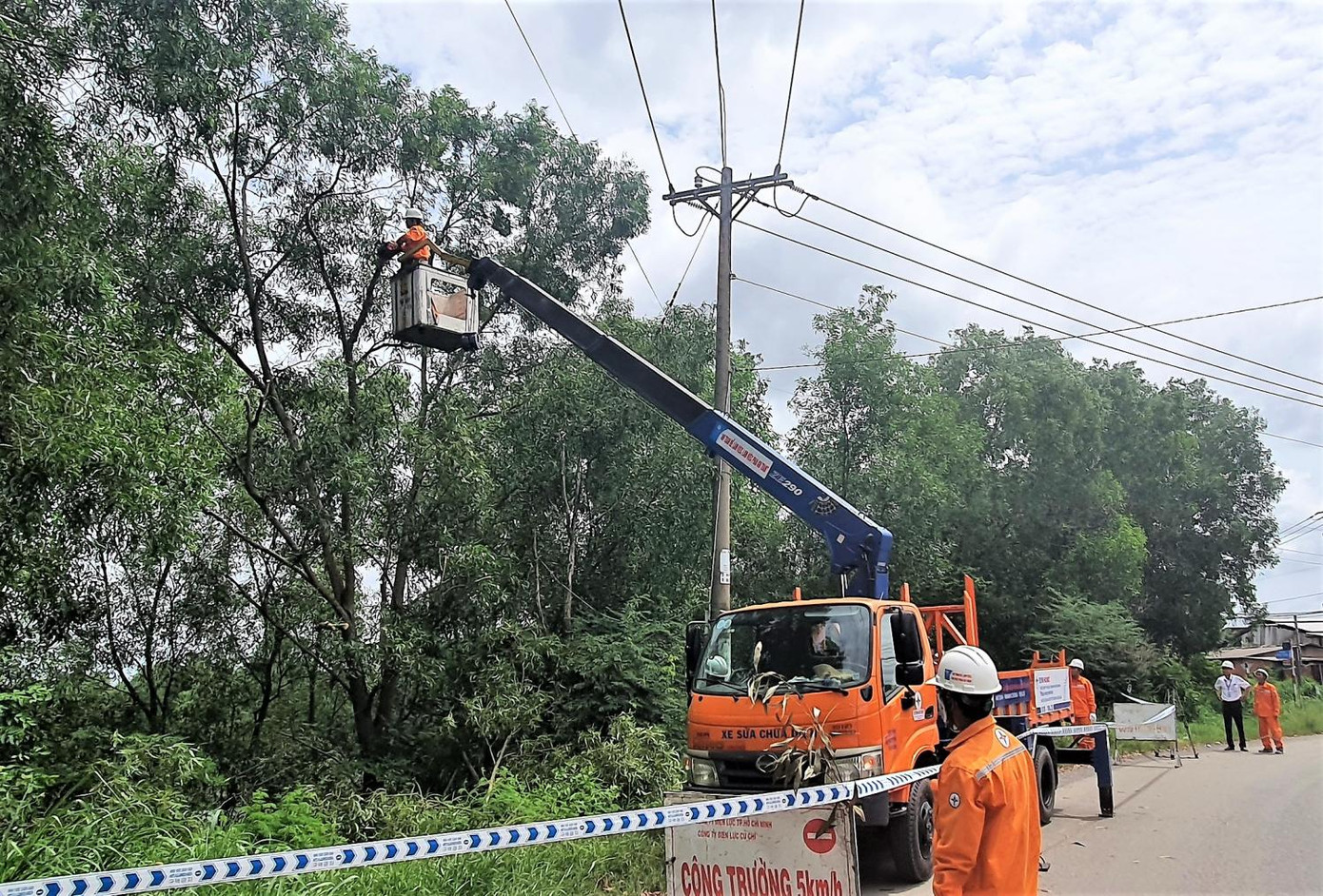 Công ty Điện lực Củ Chi tổ chức kiểm tra mé nhánh, tỉa cành các cây xanh để đảm bảo hành lang an toàn lưới điện Công ty Điện lực Củ Chi tổ chức kiểm tra mé nhánh, tỉa cành các cây xanh để đảm bảo hành lang an toàn lưới điện
